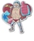 クロックス（crocs）ジビッツチャーム ONE PIECE フランキー 10018785