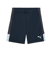 プーマ（PUMA）サッカーウェア INDIVILIGA TR ショーツ 66097602