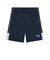 プーマ（PUMA）サッカーウェア INDIVILIGA TR ショーツ 66097602