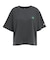チャンピオン（CHAMPION）ショートスリーブTシャツ CW-DS301 080