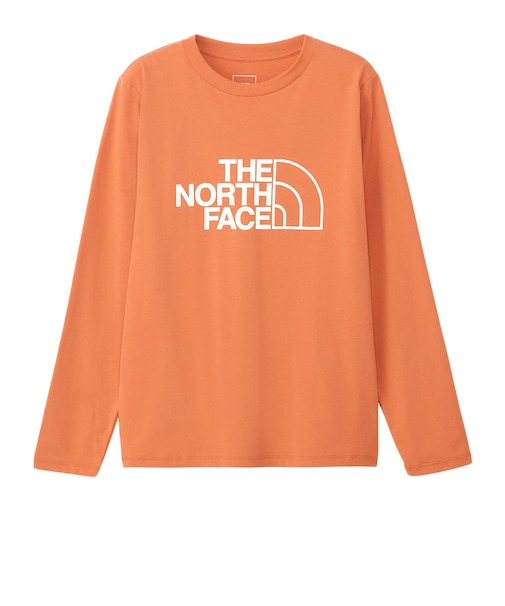 ザ・ノース・フェイス（THE NORTH FACE）長袖 ES ビッグロゴTシャツ NTW32580 FB