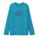 ザ・ノース・フェイス（THE NORTH FACE）長袖 ES ビッグロゴ Tシャツ NT32580 DL
