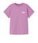 ザ・ノース・フェイス（THE NORTH FACE）ショートスリーブ ES マウンテンロゴTシャツ NTW32686 V