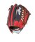 ローリングス（Rawlings）ソフトボール用グラブ グローブ オールラウンド用 ソフト HOH DP カラーズ S66 右投用 GS6HDS66-SC/N