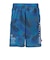 ドライプラススループラス AUTHENTIC GRT2 ジャムショーツ PT6S0044-TR866-GRES BLU