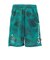 ドライプラススループラス AUTHENTIC GRT2 ジャムショーツ PT6S0044-TR866-GRES TQG