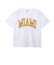 チャンピオン-ヘリテイジ（CHAMPION-HERITAGE）リバースウィーブ ショートスリーブTシャツ C3-D303 010