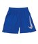 ナイキ（NIKE）ジュニア ドライフィット マルチ ショーツ HBR IF2431-480