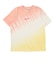 ナイキ（NIKE）スポーツウェア プール パーティ 半袖Tシャツ IR7557-378