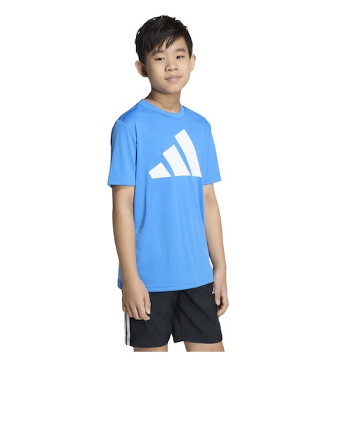 アディダス（adidas）トレイン エッセンシャルズ ビッグロゴ 半袖T