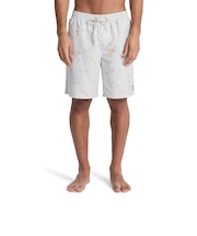 クイックシルバー（Quiksilver）EVERYDAY PRINTED VOLLEY 19 ジャムボードショーツ インナーショーツ付き 26SPEQYJV0…