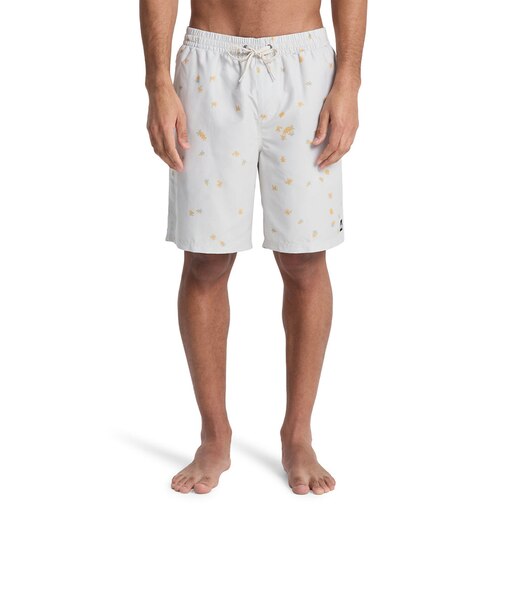 クイックシルバー（Quiksilver）EVERYDAY PRINTED VOLLEY 19 ジャムボードショーツ インナーショーツ付き 26SPEQYJV0…