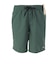 クイックシルバー（Quiksilver）EVERYDAY SOLID VOLLE レギュラーボードショーツ 26SPEQYJV04137GRTH