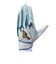 ミズノ（MIZUNO）バッティング用グローブ 野球 ミズノプロ シリコンパワーアークDI 母の日・父の日限定カラー 両手用 1EJEA56621