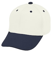ミズノ(MIZUNO)野球 帽子 キャップ 六方型 オールメッシュ 12JWBB0375