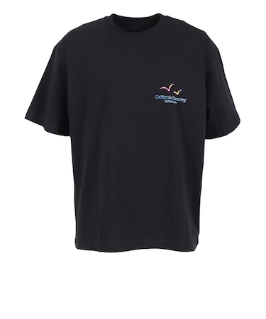 クイックシルバー（Quiksilver）CA HIGH LINER 半袖Tシャツ 26SPQST261608YBLK