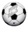 イガラシ（IGARASHI）ビーチボール サッカーボール BBB-240