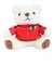 日本サッカー協会（JFA）ユニフォームベアキーホルダー STADIUM LINE 鈴木 彩艶 JO-537-1