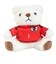 日本サッカー協会（JFA）ユニフォームベアキーホルダー STADIUM LINE 鈴木 彩艶 JO-537-1