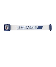 日本サッカー協会(JFA)LEDブレスレット 最高の景色を2026 JO-544