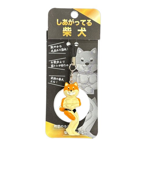 しあがってる柴犬 KWC445885