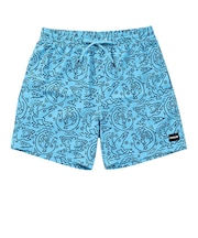 ハーレー（HURLEY）キース・ヘリング CANNONBALL VOLLEY 17 ショートパンツ MBS11885-460