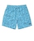 ハーレー（HURLEY）キース・ヘリング CANNONBALL VOLLEY 17 ショートパンツ MBS11885-460