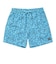 ハーレー（HURLEY）キース・ヘリング CANNONBALL VOLLEY 17 ショートパンツ MBS11885-460