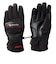 フェニックス（PHENIX）ウィンターグローブ 五指 ゴア グローブ ESM24GL10 BLACK