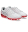 アシックス（ASICS）ジュニアサッカースパイク サッカーシューズ DS LIGHT JR GS 1104A054.103