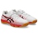 アシックス（ASICS）ジュニアサッカー インドアトレーニングシューズ 屋内 室内 JUNIOLE 7 IN 1104A055.102