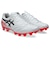 アシックス（ASICS）サッカースパイク サッカーシューズ DS LIGHT PRO ワイド 1103A122.102