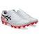アシックス（ASICS）サッカースパイク サッカーシューズ DS LIGHT PRO ワイド 1103A122.102