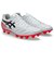 アシックス（ASICS）サッカースパイク サッカーシューズ DS LIGHT PRO 1103A126.102