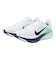 ナイキ（NIKE）ランニングシューズ ジョギングシューズ エア ズーム ペガサス 42 ワイド IR1228-100