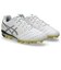 アシックス（ASICS）ジュニアサッカースパイク DS LIGHT JR GS 1104A054.104