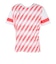 プーマ（PUMA）サッカーウェア アタッカント グラフィック 半袖Tシャツ 66049302