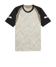 プーマ(PUMA)サッカーウェア INDIVIDUALFINAL 半袖Tシャツ 66121209