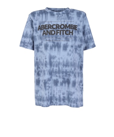 アバクロンビー&フィッチ（Abercrombie & Fitch）ジュニア CINDER BLOCK 半袖Tシャツ 93AJ91-GD6