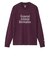 ザ・ノース・フェイス（THE NORTH FACE）GAR タイポグラフィック ロングスリーブ Tシャツ NT32665 PU