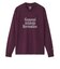 ザ・ノース・フェイス（THE NORTH FACE）GAR タイポグラフィック ロングスリーブ Tシャツ NT32665 PU
