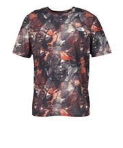 ザ・ノース・フェイス（THE NORTH FACE）ショートスリーブGTDメランジクルーネックTシャツ NT12595 CM