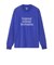 ザ・ノース・フェイス（THE NORTH FACE）GAR タイポグラフィックロングスリーブTシャツ NT32665 TB