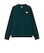 ザ・ノース・フェイス（THE NORTH FACE）テックエアークルーネックスウェットトップス NT62584 PT