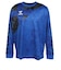 ヒュンメル（hummel）サッカーウェア 長袖フットボールプラクティスシャツ HAP7253-69