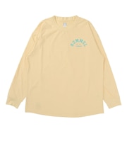 ヒュンメル(hummel)バスケットボールウェア ロングスリーブコットンライクTシャツ HAPB7045-110