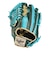 ローリングス（Rawlings）軟式用グラブ 野球グローブ 外野手用 ハイパーテック CO 左投用 GR6FHTCY719-DGRN/TE-RH