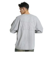 ディーシーシューズ（DC SHOES）HIDDEN ロングスリーブTシャツ 26FW DLT264048 GRS
