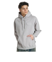 ディーシーシューズ(DC SHOES)HIDDEN PH パーカー 26FW DPO264041 GRS