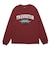 ハンドボールウェア 長袖Tシャツ アーチロゴ HB26TS13-61